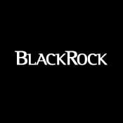 Black Rock Investment Management